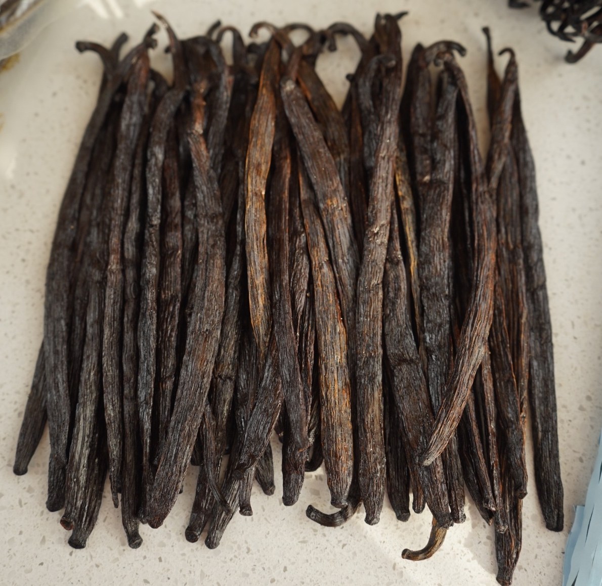 Grade B / extract whole pods